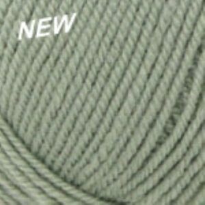 Encore Worsted Yarn 1231 Pale Greenhouse